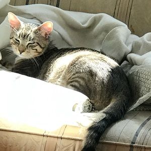 Meet your Posher, Deirdre